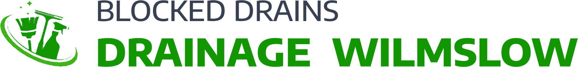 website logo